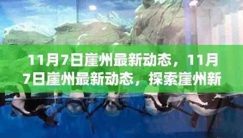 崖州新动态，探索新面貌，感受时代脉搏的跃动（最新资讯）