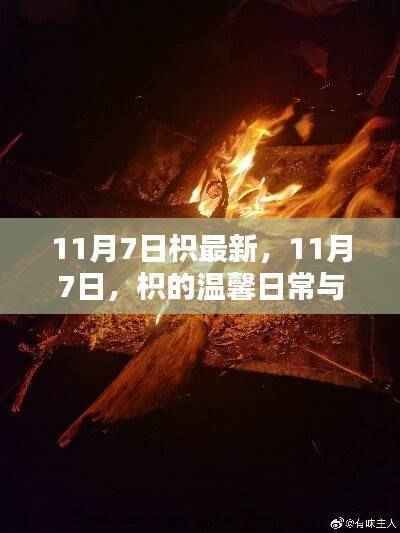 枳的温馨日常与友情篝火,十一月七日最新更新