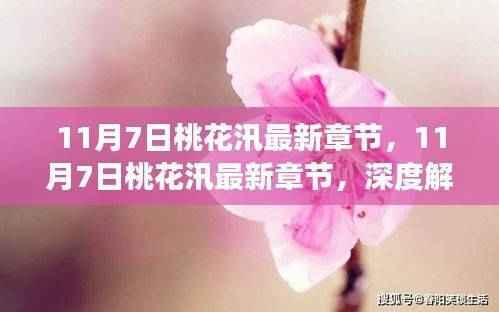 深度解读与观点阐述,最新章节桃花汛深度剖析