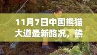 中国熊猫大道最新路况揭秘，绿色旅行，探寻内心平静的旅程