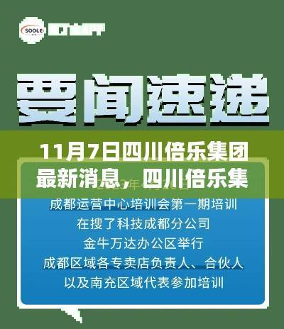 四川倍乐集团发布初学者与进阶用户任务指南,最新消息解析