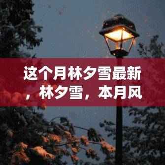 林夕雪本月风云人物深度解析,最新动态与影响力解析