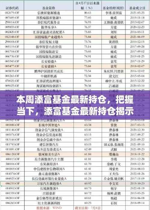 添富基金最新持仓揭示,变化的力量与学习的魅力,把握当下投资机遇