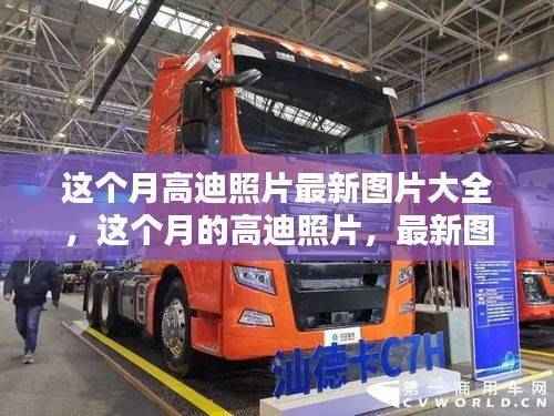 高迪照片最新图片大全与独家案例分析,本月精选图片集