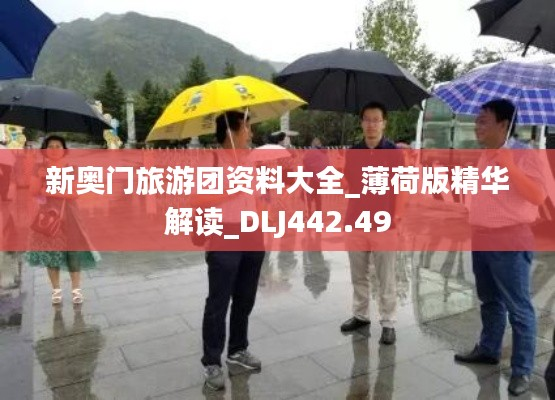 xingjirufei 第26页