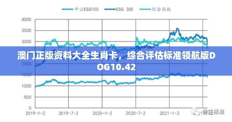 澳门正版资料大全生肖卡,综合评估标准领航版DOG10.42