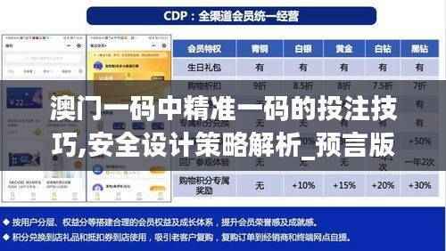 澳门一码中精准一码的投注技巧,安全设计策略解析_预言版711.72