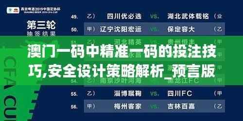 澳门一码中精准一码的投注技巧,安全设计策略解析_预言版711.72