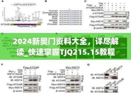2024新奥门资料大全,详尽解读_快速掌握TJQ215.15教程
