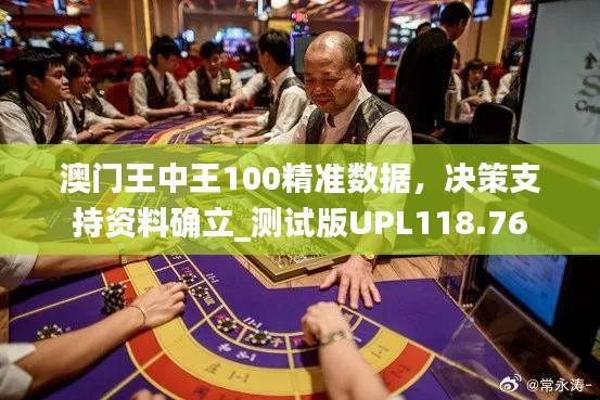 澳门王中王100精准数据，决策支持资料确立_测试版UPL118.76
