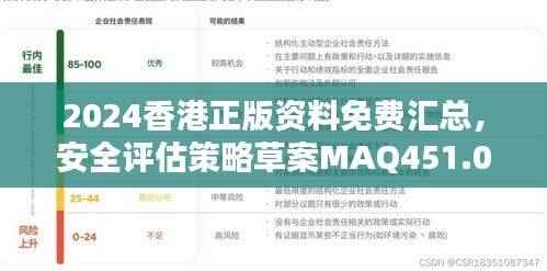 2024香港正版资料免费汇总，安全评估策略草案MAQ451.09