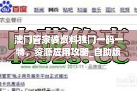 澳门管家婆资料独门一码一特，资源应用攻略_自助版DZW487.8