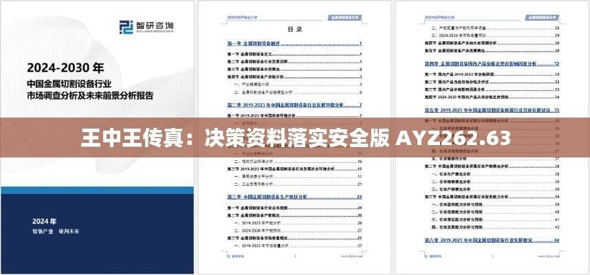 王中王传真:决策资料落实安全版 AYZ262.63