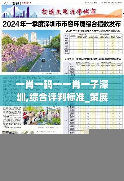 一肖一码一一肖一子深圳,综合评判标准_策展版UDC941.41