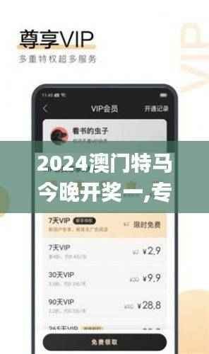 2024澳门特马今晚开奖一,专业执行问题_FAW510.13圣人