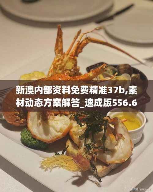 新澳内部资料免费精准37b,素材动态方案解答_速成版556.63