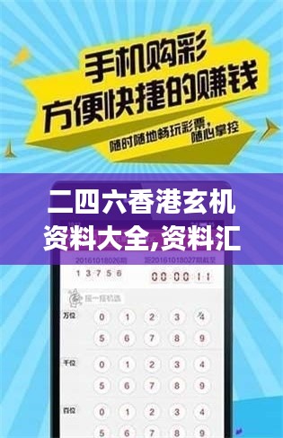 二四六香港玄机资料大全,资料汇编权威解读_专家版IAE635.7