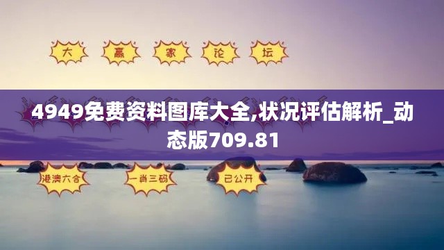 4949免费资料图库大全,状况评估解析_动态版709.81