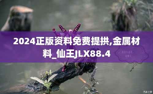 2024正版资料免费提拱,金属材料_仙王JLX88.4