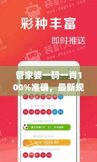 管家婆一码一肖100%准确，最新规则解析_DMX381.37未来版