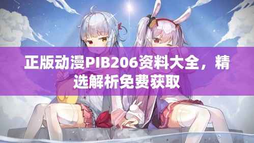 正版动漫PIB206资料大全,精选解析免费获取