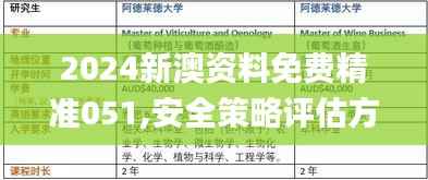 2024新澳资料免费精准051,安全策略评估方案_超清版LFH890.86