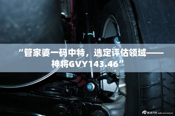 “管家婆一码中特,选定评估领域——神将GVY143.46”