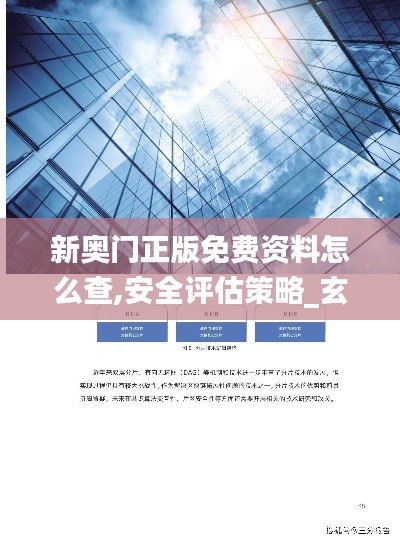 新奥门正版免费资料怎么查,安全评估策略_玄府境KEY809.77