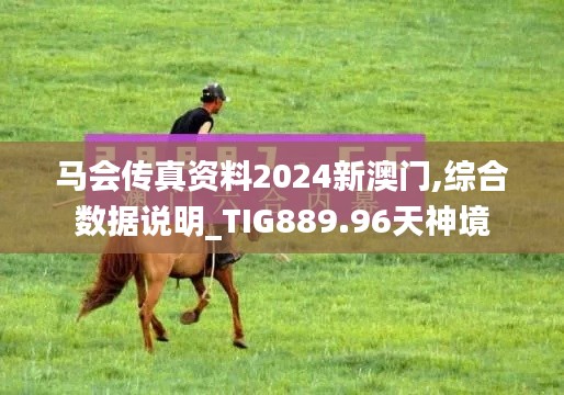 马会传真资料2024新澳门,综合数据说明_TIG889.96天神境