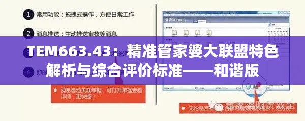 TEM663.43:精准管家婆大联盟特色解析与综合评价标准——和谐版