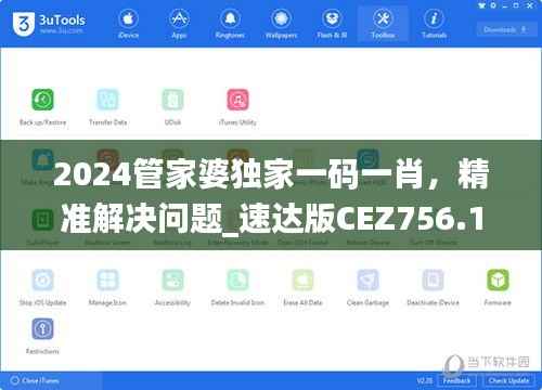 2024管家婆独家一码一肖,精准解决问题_速达版CEZ756.18