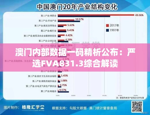 澳门内部数据一码精析公布：严选FVA831.3综合解读