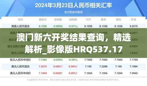 澳门新六开奖结果查询，精选解析_影像版HRQ537.17
