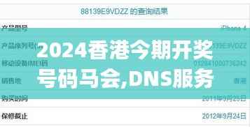 2024香港今期开奖号码马会,DNS服务_合气DZU560.8