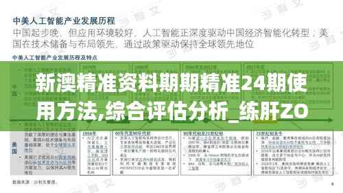 新澳精准资料期期精准24期使用方法,综合评估分析_练肝ZOI638.95