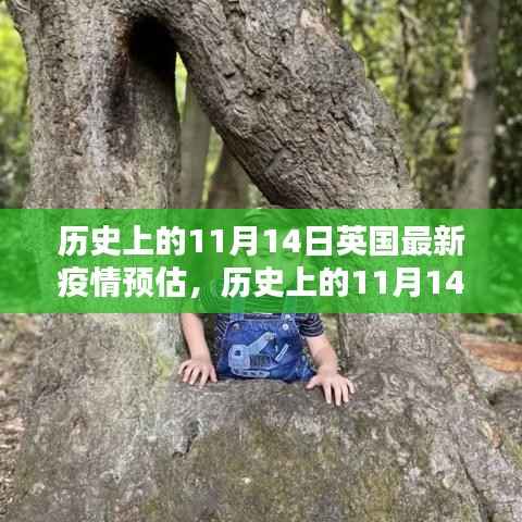 历史上的11月14日英国疫情最新预估,全面评测与深度分析