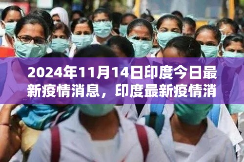 2024年11月14日印度疫情最新消息与要点分析