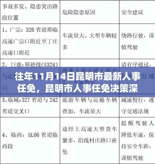 历年11月14日昆明市人事任免解析,深度探讨人事决策与变动视角