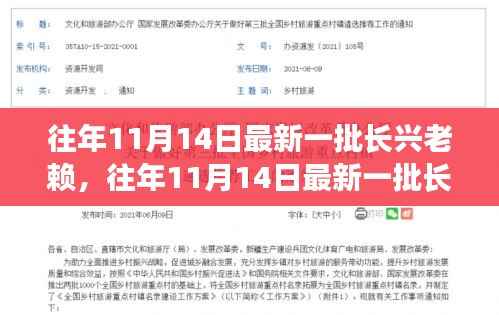 往年11月14日最新长兴老赖名单曝光