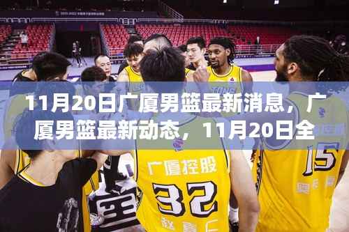 广厦男篮最新动态解读,特性、体验、竞品对比与目标用户群体深度分析(11月20日更新)