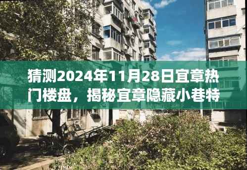 揭秘宜章隐藏魅力,预测未来热门楼盘与探寻特色小巷小店之旅(2024年11月28日)