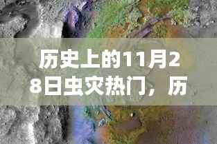 心急如焚 第16页
