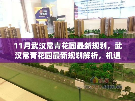 武汉常青花园最新规划解析,机遇与挑战并存