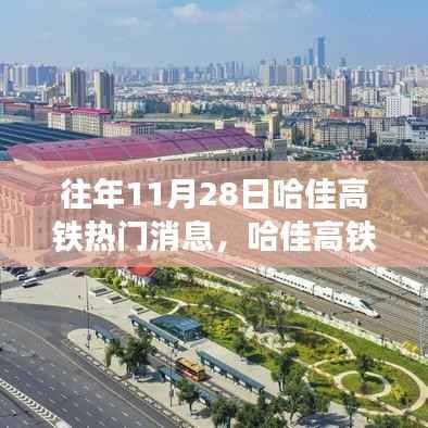 哈佳高铁历年11月28日热门消息深度解析与回顾