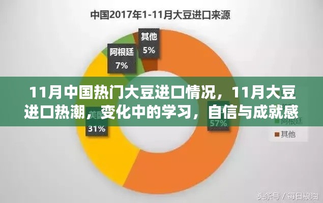 11月大豆进口热潮,变化中的学习,自信与成就感的源泉
