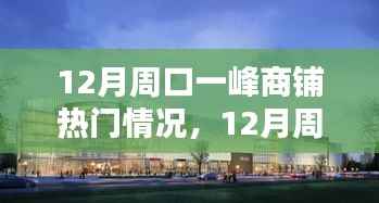 深度解析,周口一峰商铺在12月的热门情况