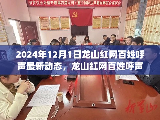 龙山红网百姓呼声最新动态及民意探析，2024年观察下的民意走向报告