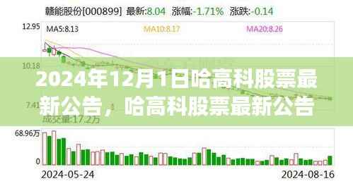 哈高科股票最新公告深度解析,产品特性、用户体验与目标用户群体分析(2024年12月版)