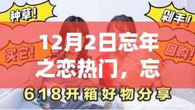忘年之恋产品深度测评与介绍,12月2日热门之选