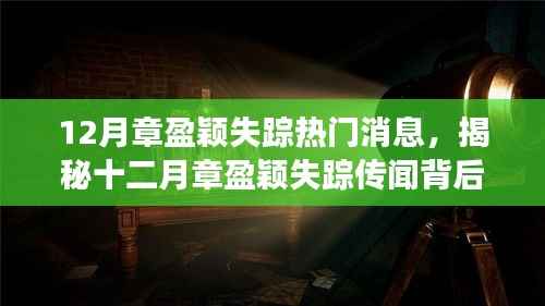 揭秘章盈颖失踪传闻,十二月神秘角落的小巷独特小店探寻真相之路